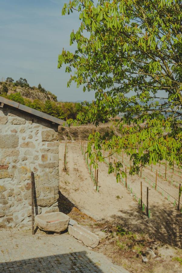 The Farmhouse I - Uma Quinta Deslumbrante Villa Felgueiras Buitenkant foto