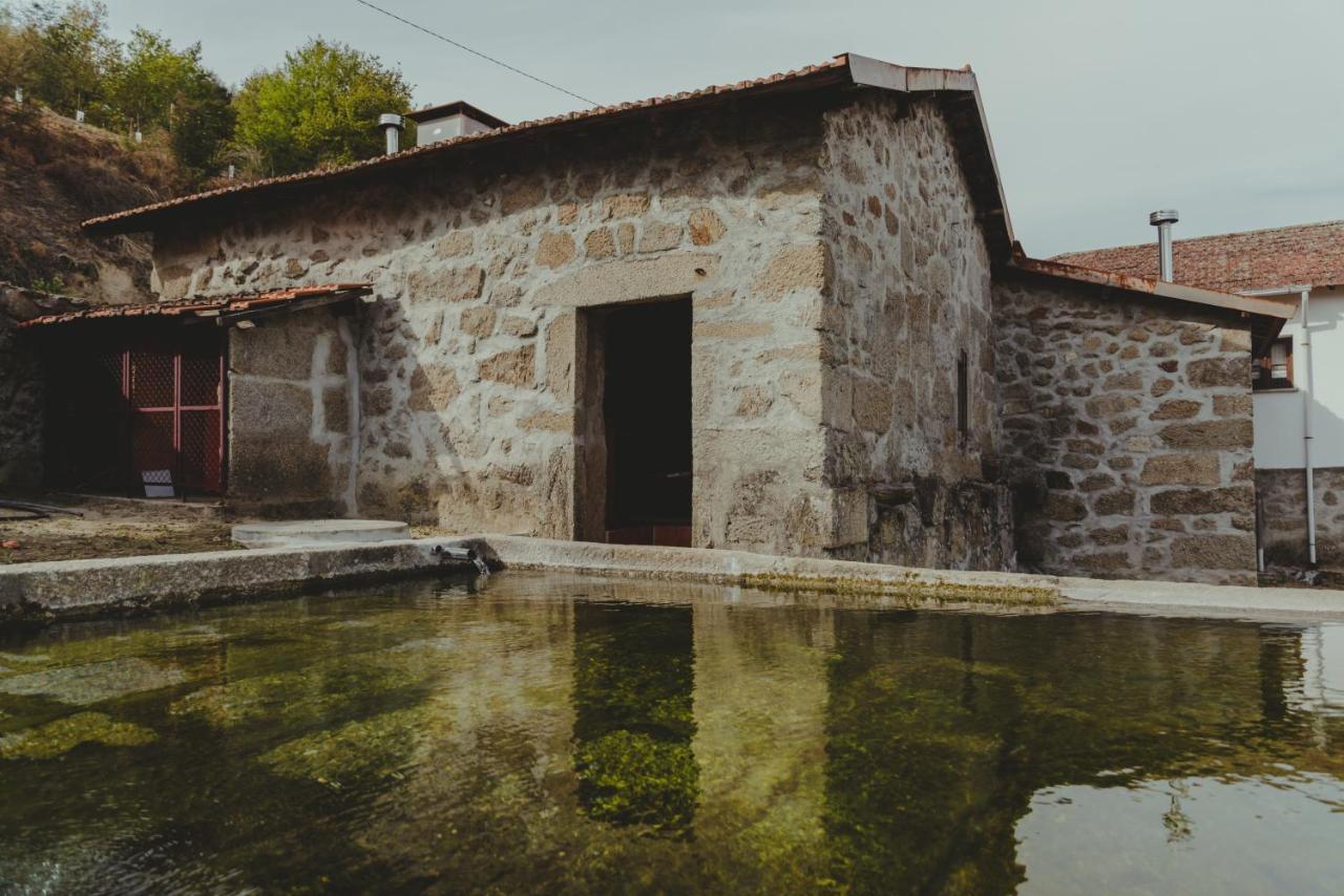 The Farmhouse I - Uma Quinta Deslumbrante Villa Felgueiras Buitenkant foto