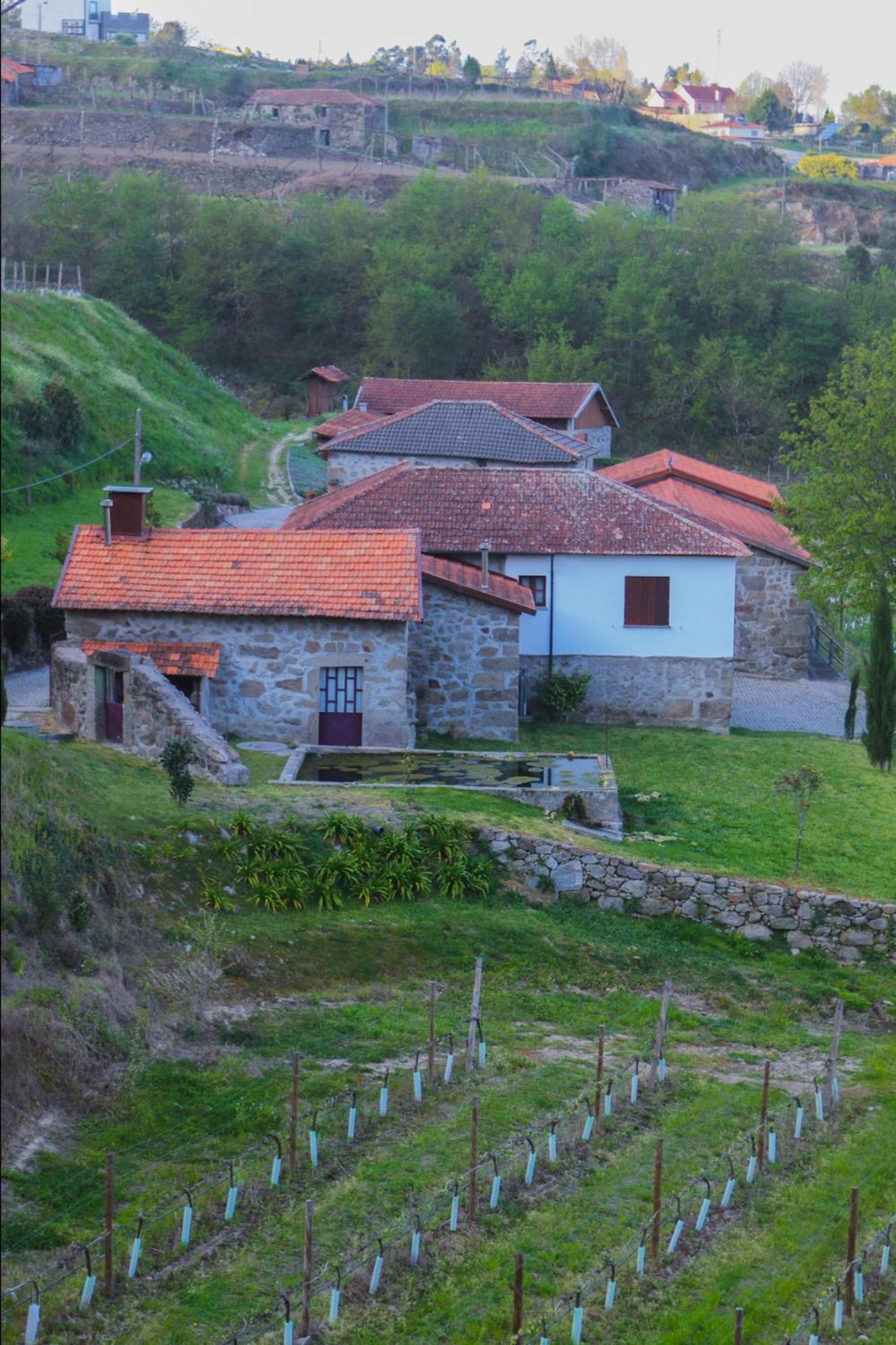 The Farmhouse I - Uma Quinta Deslumbrante Felgueiras Buitenkant foto