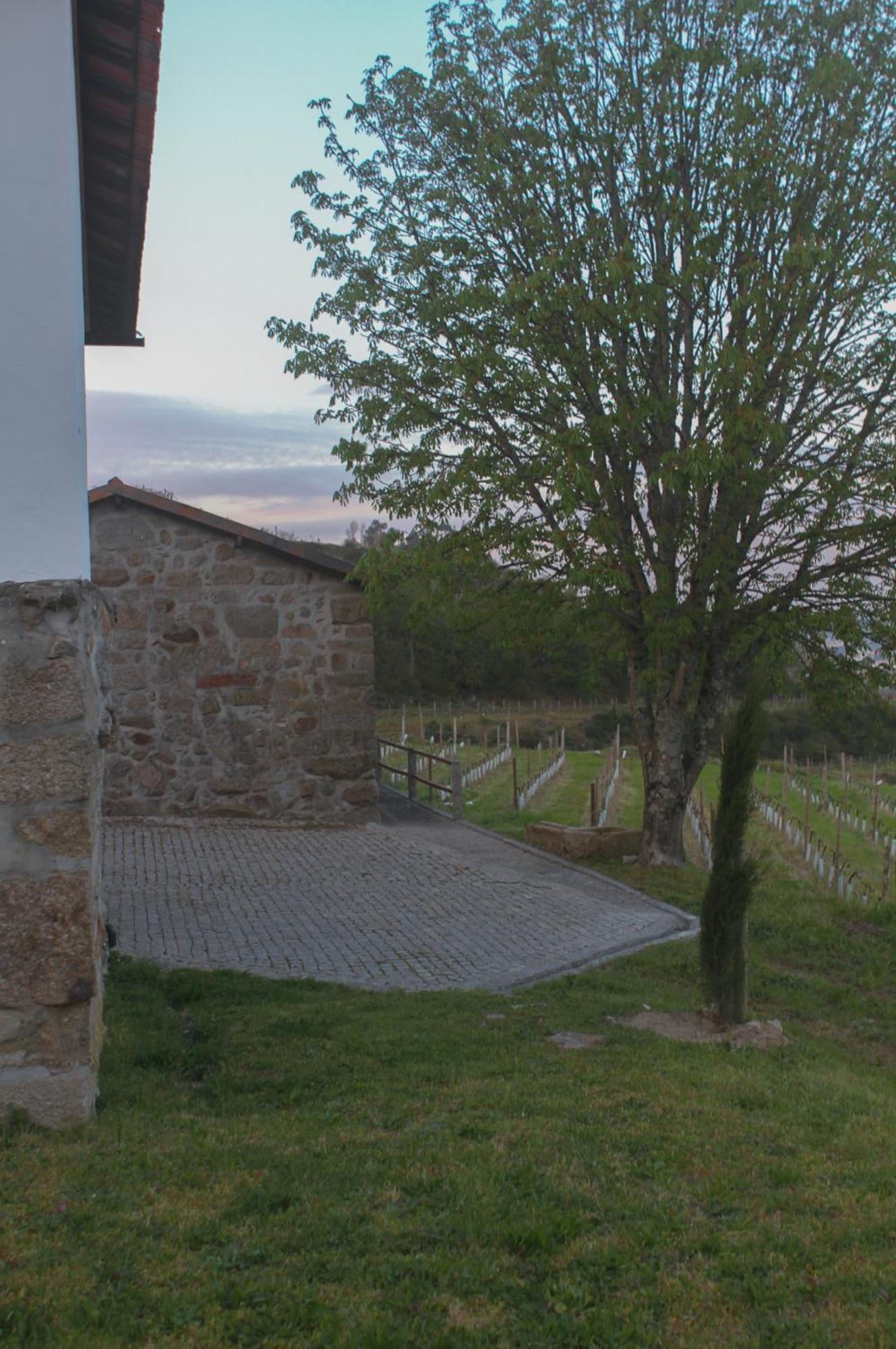 The Farmhouse I - Uma Quinta Deslumbrante Felgueiras Buitenkant foto